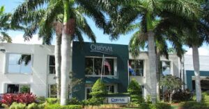 chrysal americas doral 479