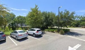 Creative Greenery creative greenery jacksonville 313