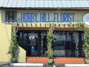 hobby hill design llc sebring 430