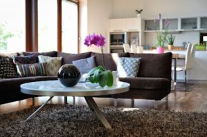 Ideal Orchids ideal orchids pompano beach 202