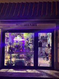 Potted Earth 2 potted earth 2 boynton beach 158