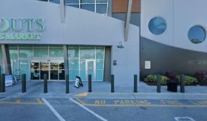 sprouts floral brandon 290